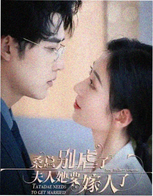 顶点小说《她与光年同速》封面